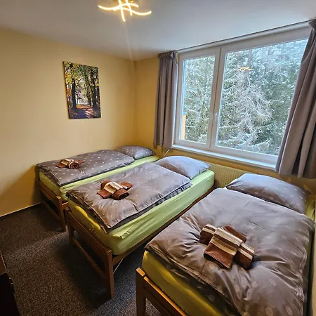 Smrek Penthouse Апартаменты Штрбске-Плесо