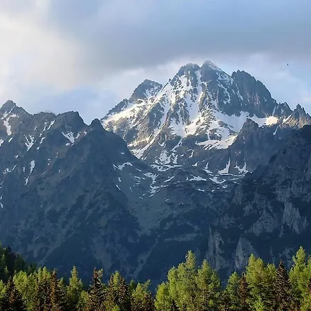 Smrek Penthouse Lejlighed *