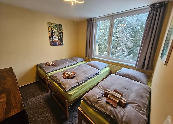 Smrek Penthouse Daire Štrbské Pleso